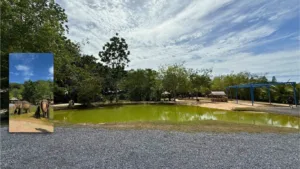 Green Elephant Sanctuary Park in Phuket