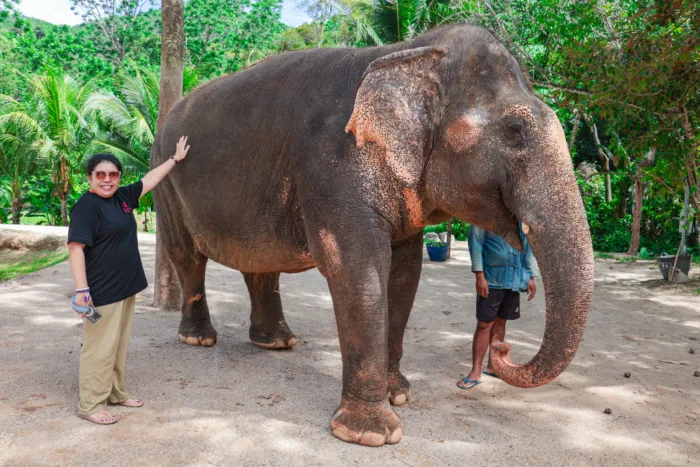 Green Elephant Sanctuary Phuket