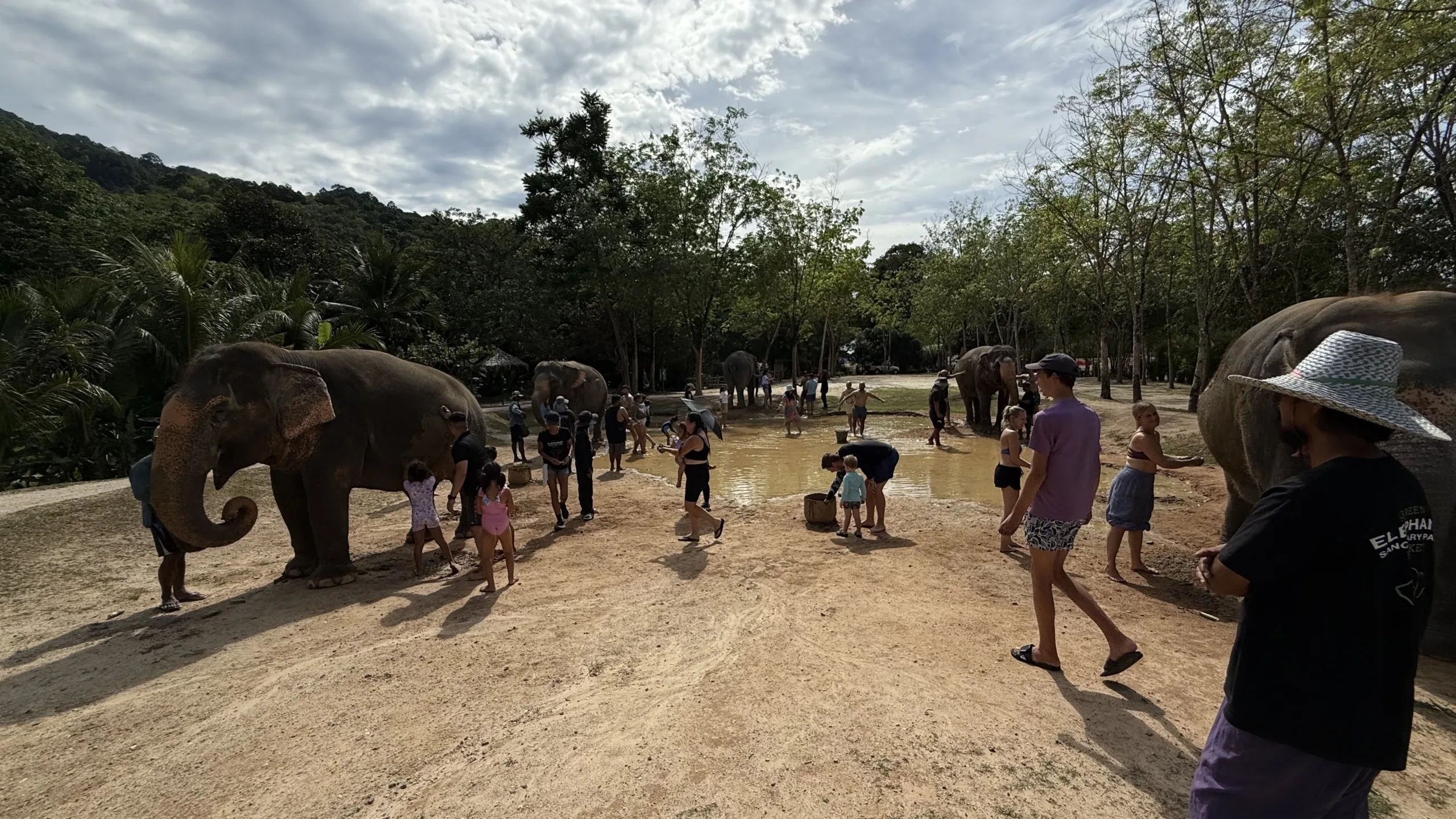 Green Elephant Sanctuary Phuket