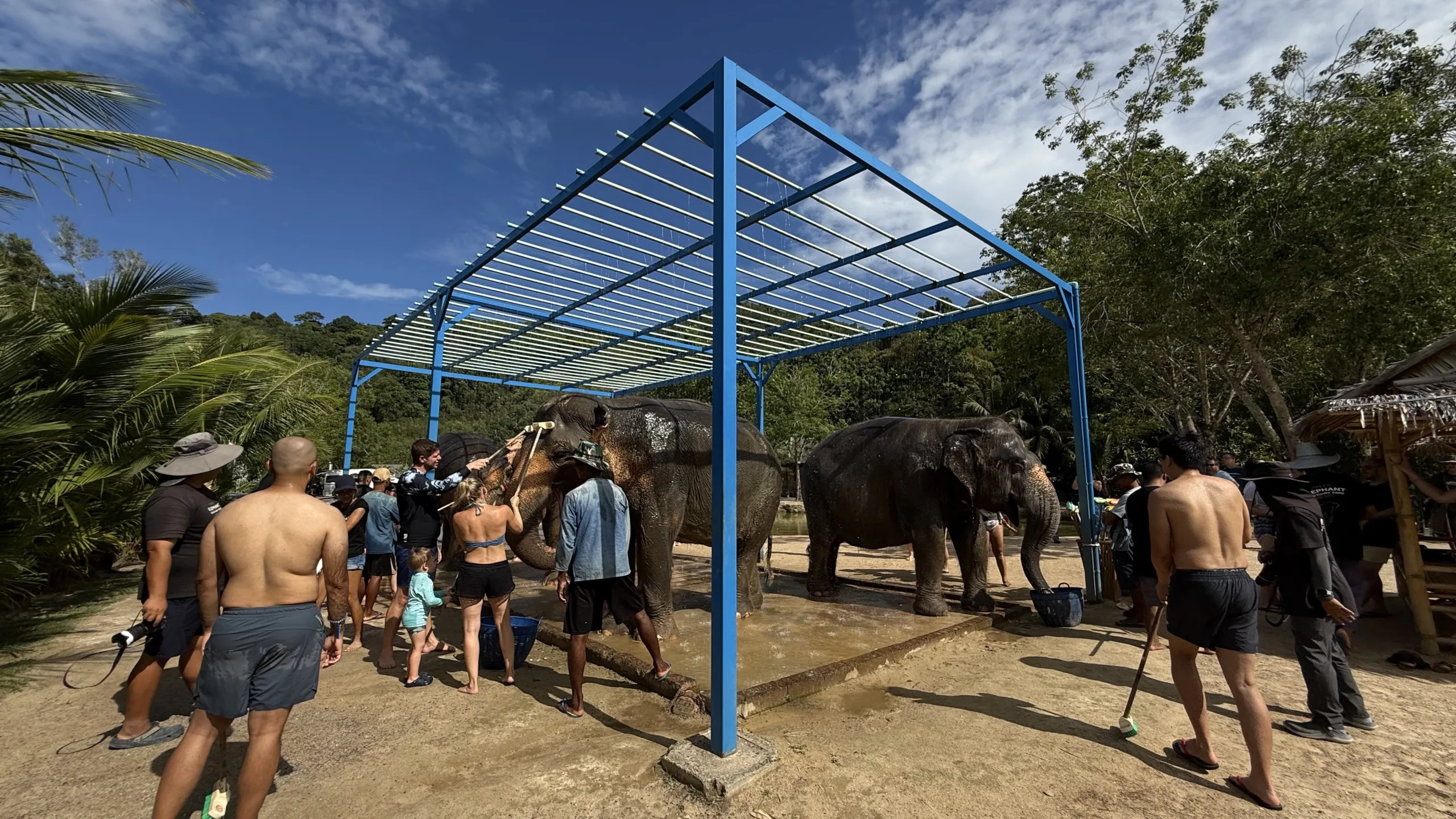 Green Elephant Sanctuary Phuket