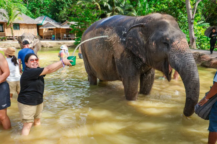 Green Elephant Sanctuary Phuket