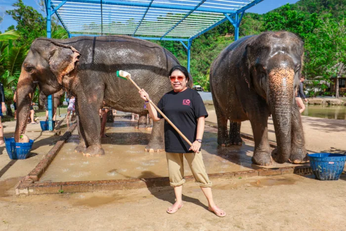 Green Elephant Sanctuary Phuket