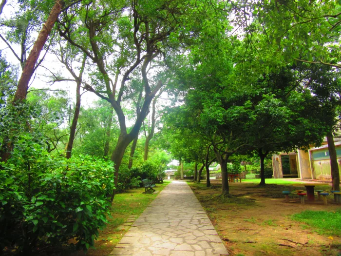 Coloane Hill
