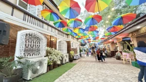 Panaad sa Negros Festival